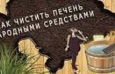 Как почистить печень и желчный пузырь дома