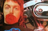 Алжирский друг или Шами-Шами: Часть №2 — Red Rose Speedway