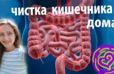 Как провести очищение кишечника от шлаков в домашних условиях