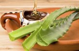 Рецепт алоэ с медом для желудка и иммунитета