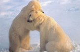 Встречи с другими людьми уменьшают риск депрессии