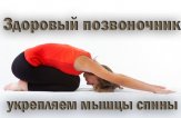 Упражнения для укрепления поясничного отдела позвоночника