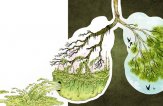 Как почистить легкие от никотина без врачей