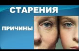 Причины старения могут быть ликвидированы