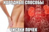 Как почистить почки народными средствами