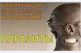 Декарис — отзывы паразитологов и их пациентов