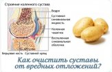 Как почистить суставы народными средствами