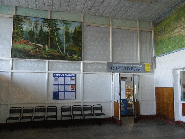 Stolovaya