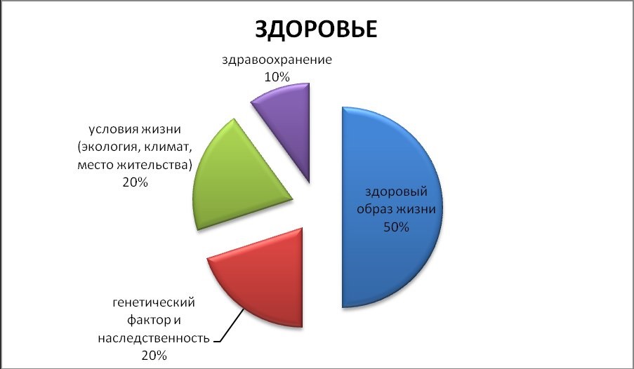 Слагаемые здоровья