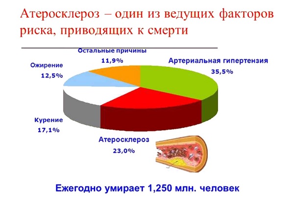 Профилактика атеросклероза