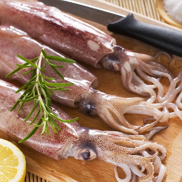 Kalmary