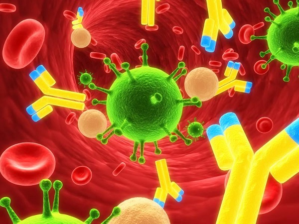Immunitet2