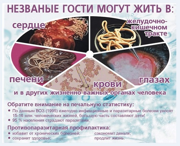 Паразиты в кишечнике полезны