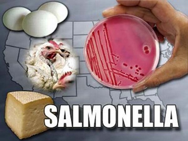 Solmanela