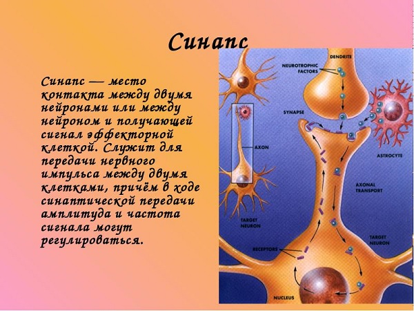 Дибазол для укрепления иммунитета