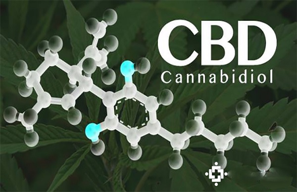 CBD