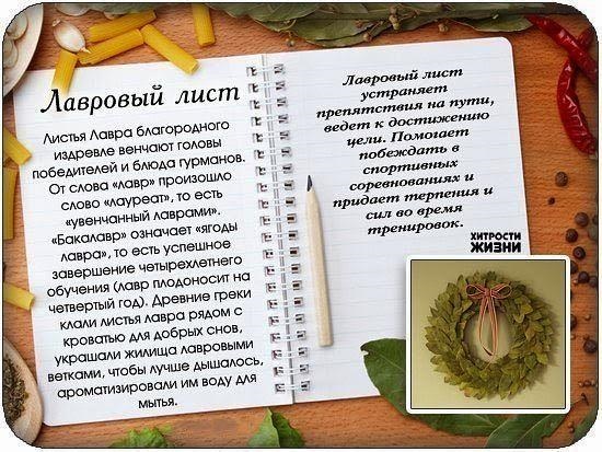История лаврового листа