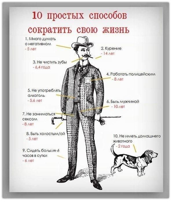 Как продлить жизнь