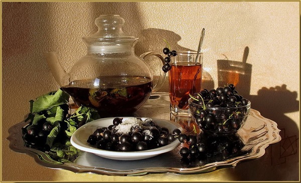 Чай из листьев смородины