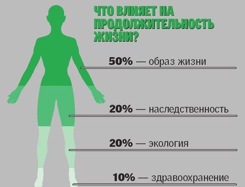Факторы влияющие на долголетие