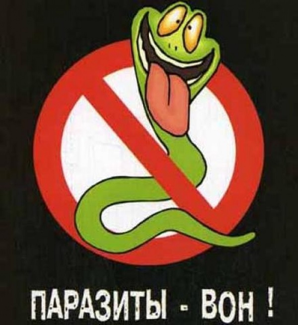 паразиты вон из организма