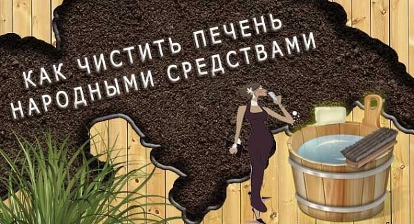 Как почистить печень и желчный пузырь