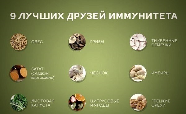 с чем дружит иммунитет