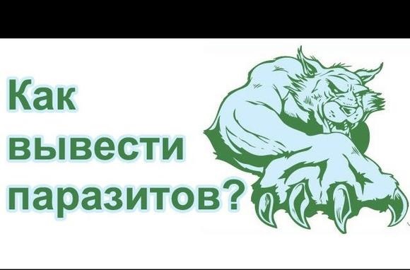 Очищение организма от паразитов