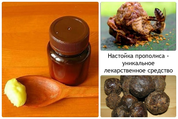 Настойка прополиса для иммунитета