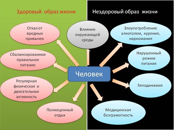 Здоровый и нездоровый образ жизни