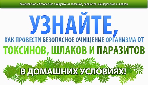 Очищение организма от шлаков