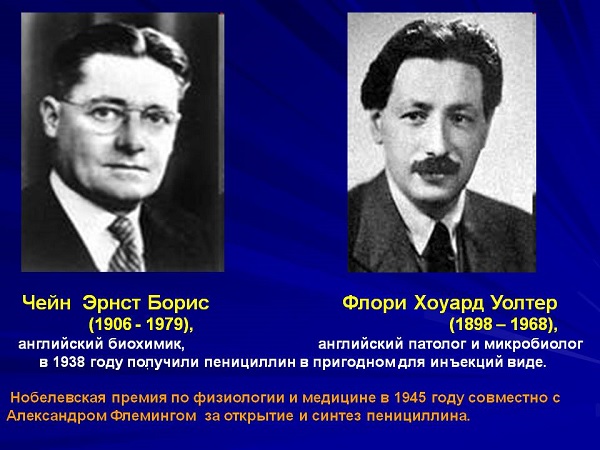 Эрнст Чейн и Хоуард Флори выделили чистый пенициллин