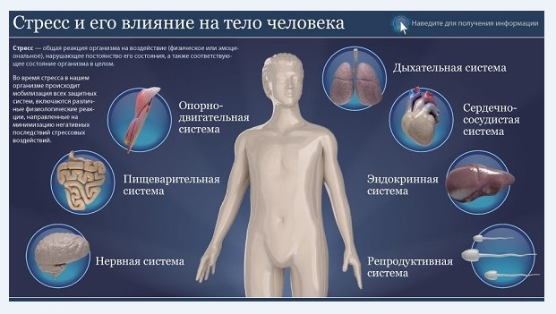 Влияние стресса на здоровье