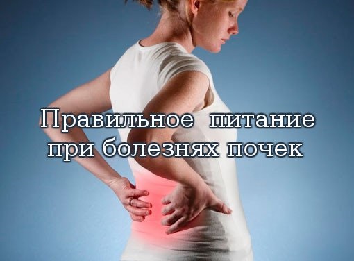 Правильное питание при болезнях почек