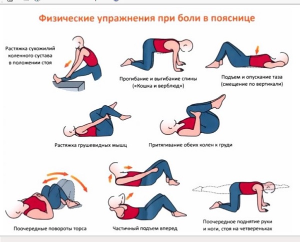 Упражнения для мышц спины