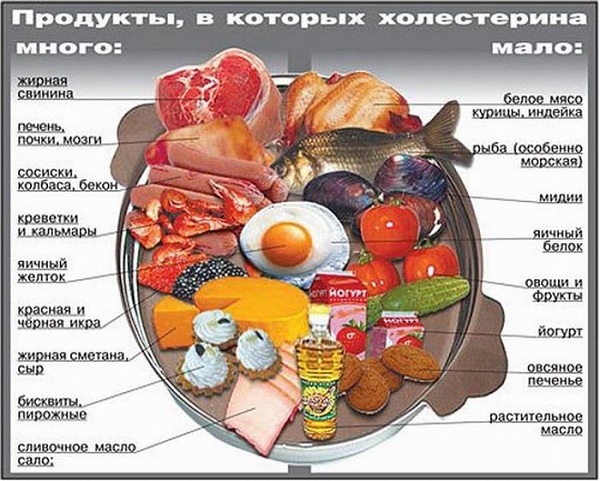 Содержание холестерина в продуктах