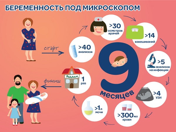 Беременность под микроскопом