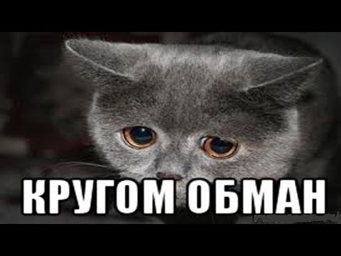 Обокрали девушку