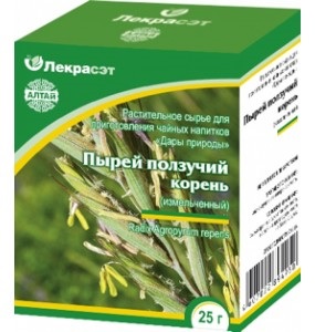 Корень пырея