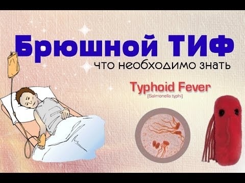 Профилактика брюшного тифа