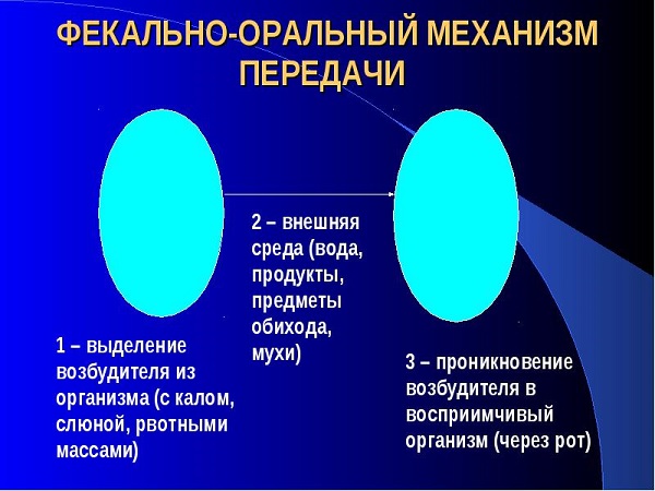 Механизм передачи болезни