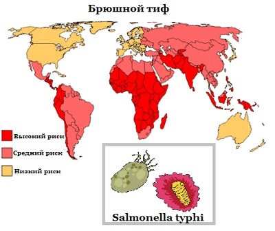 Брюшной тиф на планете