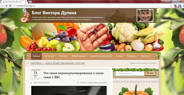 Блог Виктора Дулина