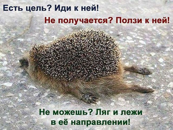 Воля к победе
