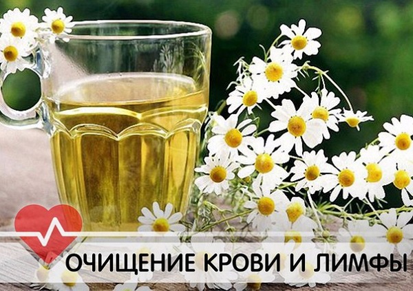 очищение крови и лимфы
