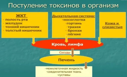 Очищениелимфысолодкой и энтеросгелем: отзывы врачей