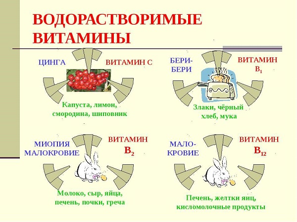 Виды водорастворимых витаминов