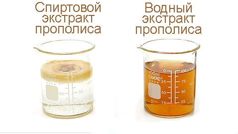спиртовой и водный экстракты прополиса