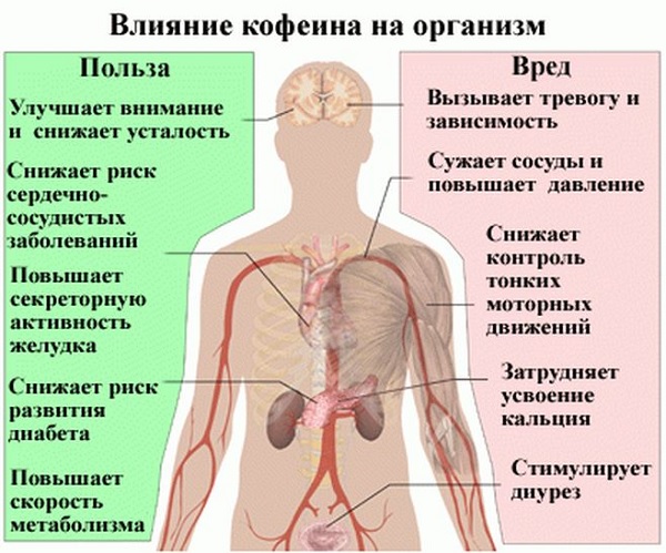 Влияние кофеина на организм