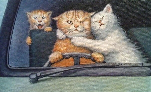 Кошачья семья в автомобиле